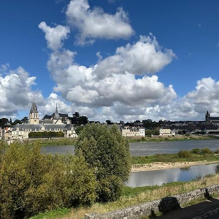 Gites Des Cygnes Vue Sur Loire Et Linge Inclus ブロワ エクステリア 写真