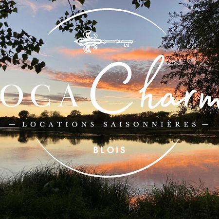 Gites Des Cygnes Vue Sur Loire Et Linge Inclus ブロワ エクステリア 写真