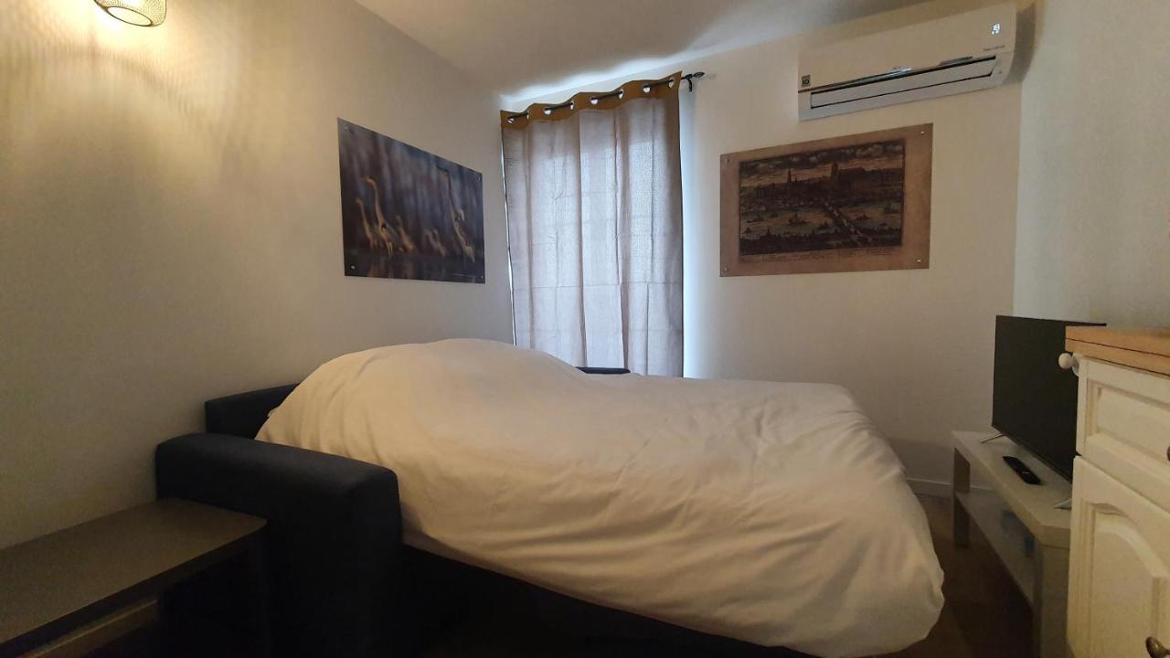 Gites Des Cygnes Vue Sur Loire Et Linge Inclus ブロワ エクステリア 写真