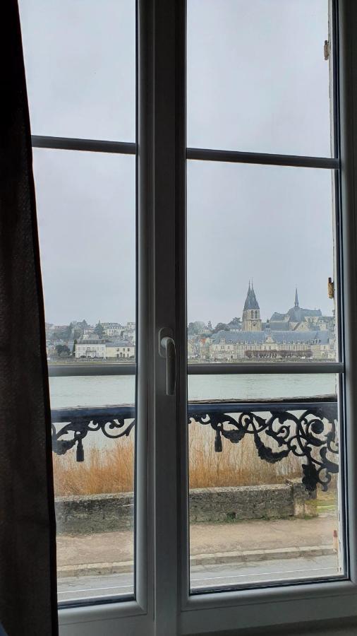 Gites Des Cygnes Vue Sur Loire Et Linge Inclus ブロワ エクステリア 写真